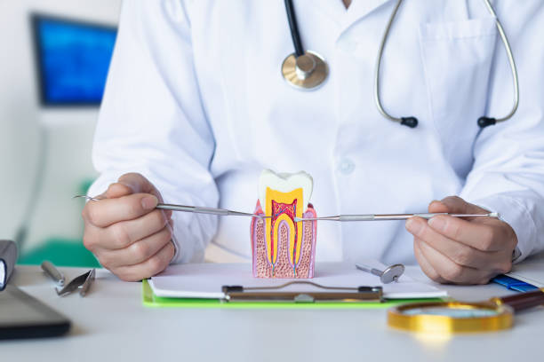 Best Broken or Cracked Tooth Emergency Dentist in Northvale, NJ